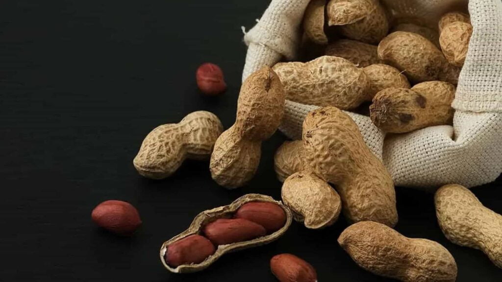 9 Benefits Of Eating Peanuts During Winters